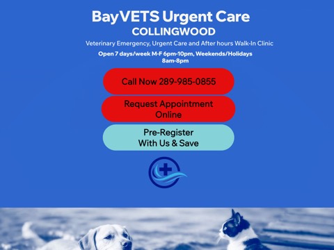 Screenshot of the BayVETS Urgent Care Collingwood website