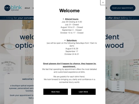 Screenshot of the blink eyewear ltd website