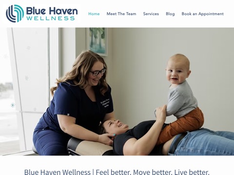 Screenshot of the Blue Haven Wellness homepage, www.bluehavenwellness.ca, captured 2026-08-19, shown as the evidence for this review