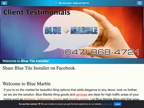 Screenshot of the Blue Tile Installer website
