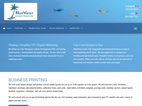 Screenshot of the Bluewater Business Promotions - Printing and Digital Marketing homepage, bluewaterproducts123.com, captured 2026-08-19, shown as the evidence for this review