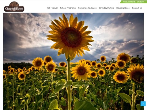 Screenshot of the Chappell Farms website