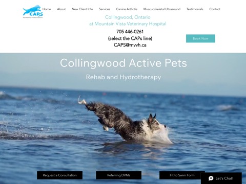 Screenshot of the Collingwood Active Pets website