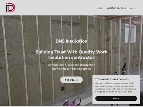 Screenshot of the DNS Insulation website