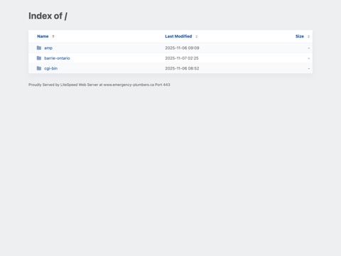 Screenshot of the Emergency Plumbers of Ontario Inc. homepage, www.emergency-plumbers.ca, captured 2026-08-19, shown as the evidence for this review
