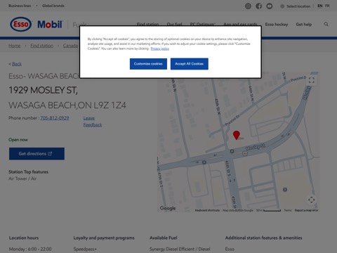 Screenshot of the Esso homepage, www.esso.ca/en-ca/find-station/esso-wasagabeach-on-wasagabeachesso-200303736?utm_source=google&utm_medium=organic&utm_campaign=gmb, captured 2026-08-19, shown as the evidence for this review