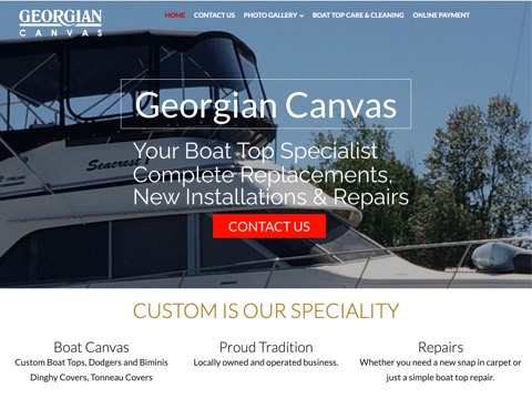 Screenshot of the Georgian Canvas website