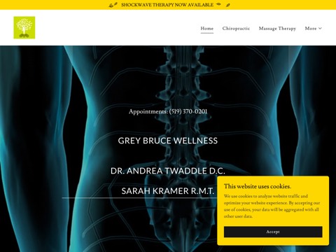 Screenshot of the Grey Bruce Chiropractic website