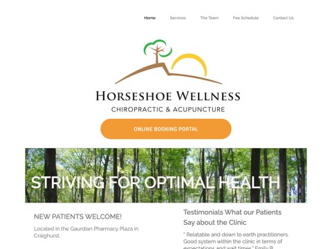Screenshot of the Horseshoe Wellness Chiropractic & Acupuncture homepage, horseshoewellness.com, captured 2026-08-19, shown as the evidence for this review