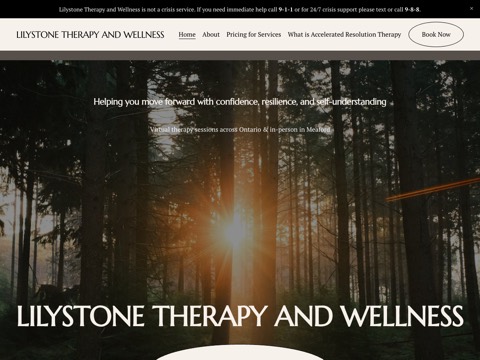 Screenshot of the Lilystone Therapy and Wellness website