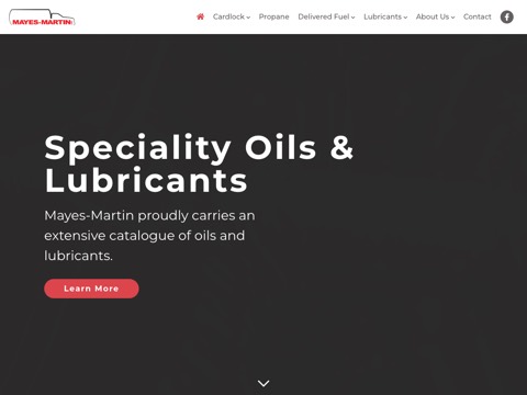 Screenshot of the Mayes-Martin Ltd homepage at mayesmartin.com, captured 2026-08-19, shown as the evidence for the review on this page