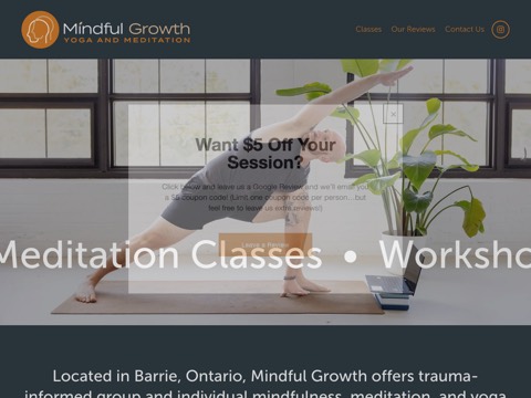 Screenshot of the Mindful Growth website