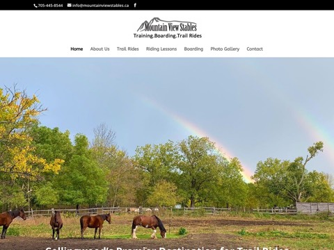 Screenshot of the Mountain View Stables homepage at mountainviewstables.ca, captured 2026-08-19, shown as the evidence for the review on this page