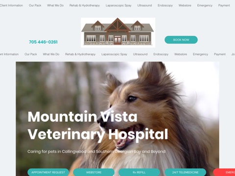 Screenshot of the Mountain Vista Veterinary Hospital website
