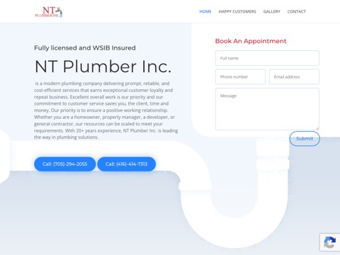 Screenshot of the N.T. Plumber Inc homepage, www.neiltheplumber.com, captured 2026-08-19, shown as the evidence for this review