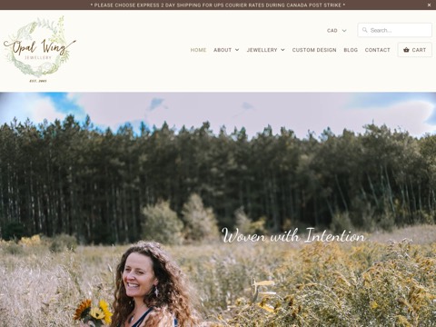 Screenshot of the Opal Wing website