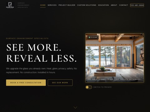 Screenshot of the Paneless Glass Solutions website