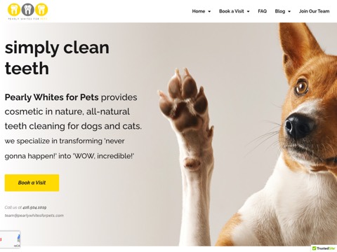 Screenshot of the Pearly Whites for Pets Barrie homepage, pearlywhitesforpets.com, captured 2026-08-19, shown as the evidence for this review