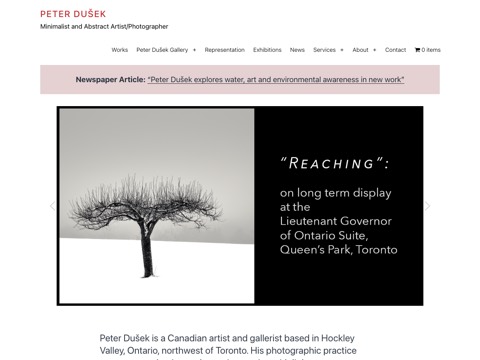 Screenshot of the Peter Dušek Gallery website