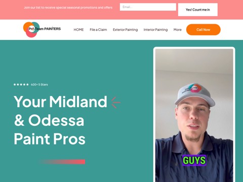 Screenshot of the Pro Team Painters website