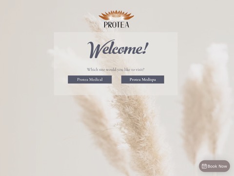 Screenshot of the Protea Medispa website