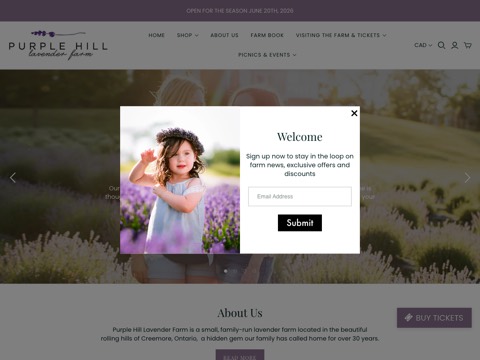 Screenshot of the Purple Hill Lavender website