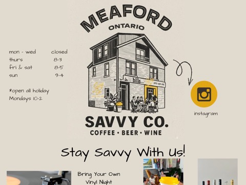 Screenshot of the Savvy Co. Meaford website
