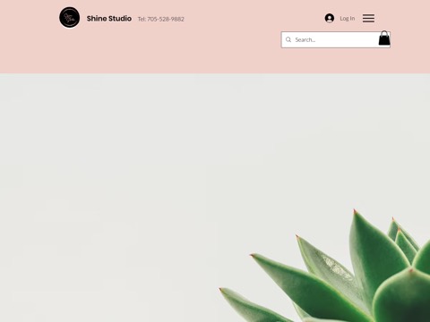 Screenshot of the Shine Studio website