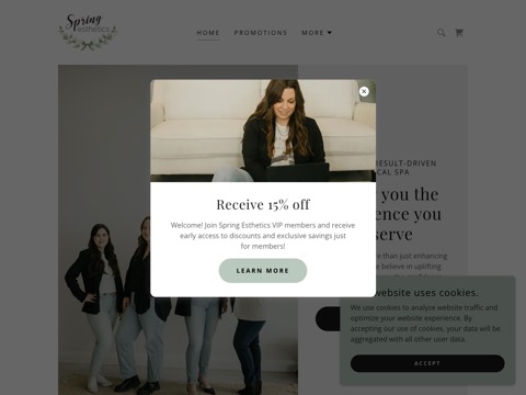 Screenshot of the Spring Esthetics website