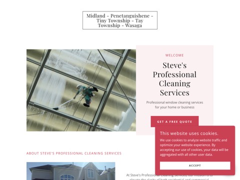 Screenshot of the Steve's Professional Cleaning website