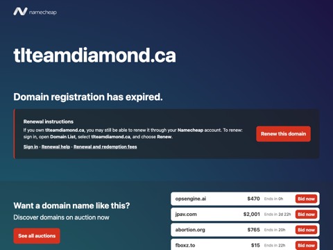 Screenshot of the T.L. Team Diamond website