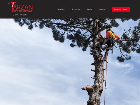 Screenshot of the Tarzan Tree Removal Limited, Elmvale ON website