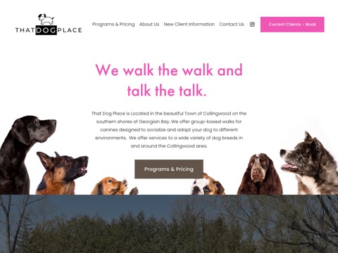Screenshot of the That DOG Place Collingwood homepage, thatdogplace.ca, captured 2026-08-19, shown as the evidence for this review