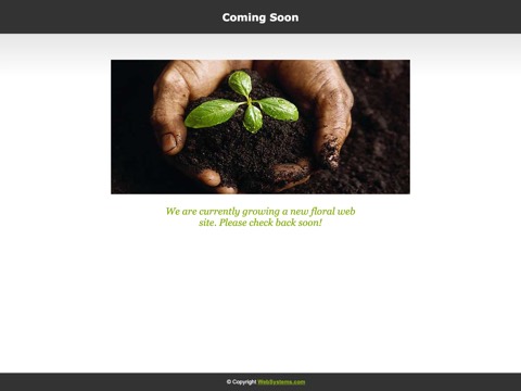 Screenshot of the The Flower Place homepage, www.theflowerplace.ca, captured 2026-08-19, shown as the evidence for this review