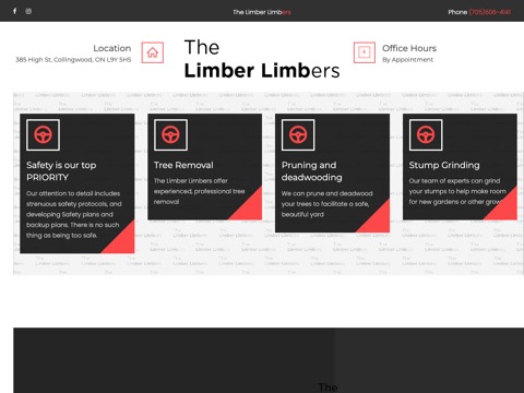 Screenshot of the The Limber Limbers homepage, thelimberlimbers.ca, captured 2026-08-19, shown as the evidence for this review