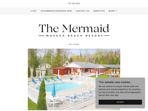 Screenshot of the The Mermaid Resort website