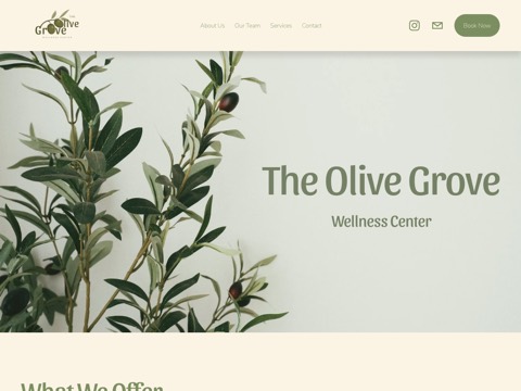 Screenshot of the The Olive Grove Wellness Center website