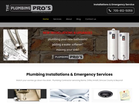 Screenshot of the The Plumbing Pro's homepage, www.theplumbingpros.ca, captured 2026-08-19, shown as the evidence for this review