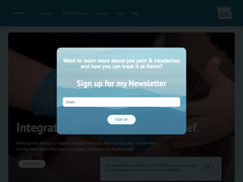 Screenshot of the The TMJ Clinic website