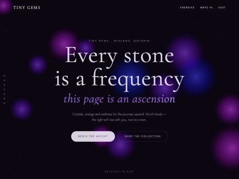 Screenshot of the Tiny Gems homepage, www.tinygems.ca, captured 2026-08-19, shown as the evidence for this review