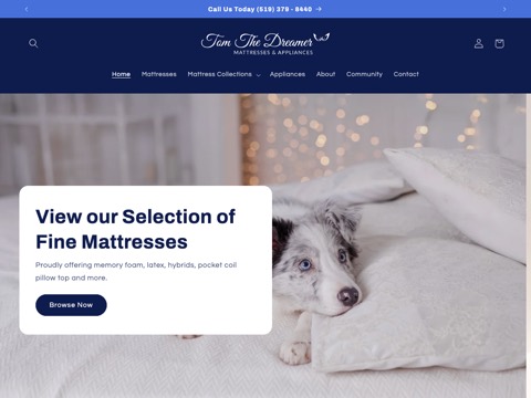 Screenshot of the Tom The Dreamer website