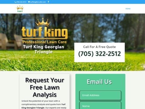 Screenshot of the Turf King website
