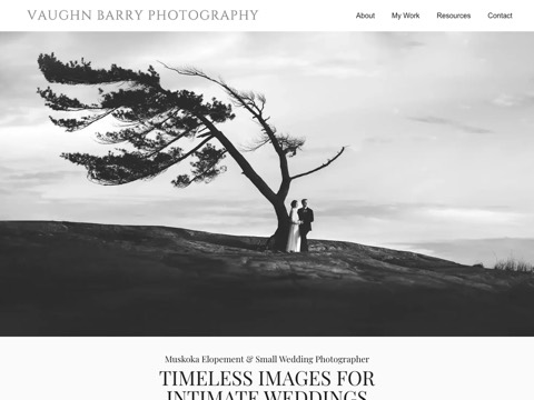 Screenshot of the Vaughn Barry Photography website