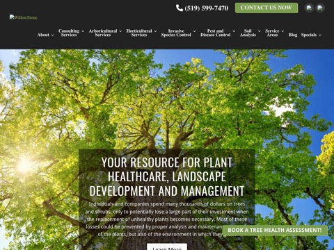 Screenshot of the WillowStone website